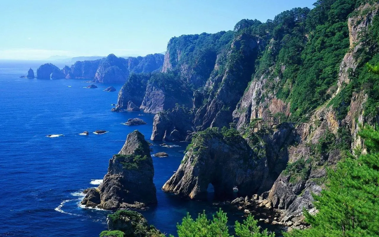 科技高标准